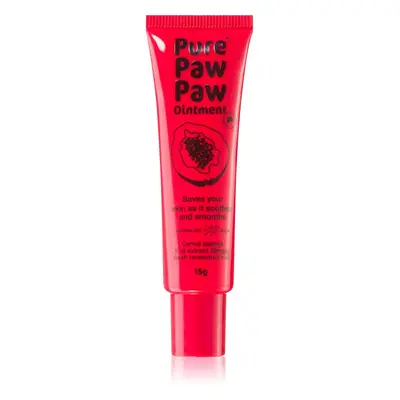 Pure Paw Paw Ointment balzám na rty a suchá místa 15 g