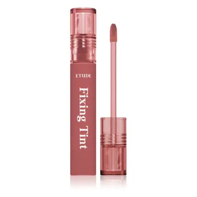 ETUDE Fixing Tint dlouhotrvající rtěnka s matným efektem odstín #05 Midnight Mauve 4 g