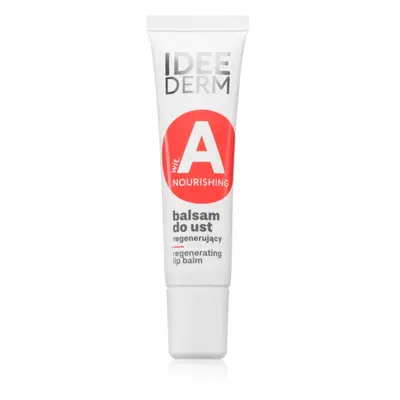 Ideepharm Idee Derm Vitamin A regenerační balzám na rty 12 ml