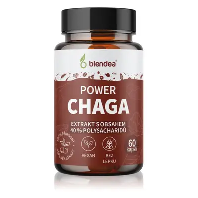 Blendea Chaga Extrakt kapsle s antioxidačním účinkem 60 cps