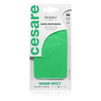 Mr & Mrs Fragrance Cesare Warm Spicy vonná visačka 1 ks