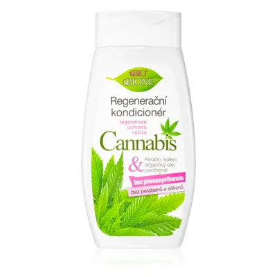 Bione Cosmetics Cannabis regenerační kondicionér 260 ml