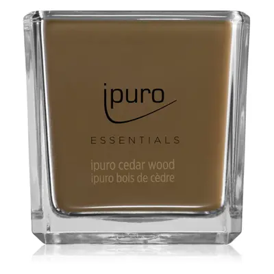 ipuro Essentials Cedar Wood vonná svíčka 125 g