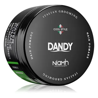 DANDY Water Pomade Anti-Gravity Effect pomáda na vlasy se silným zpevněním 100 ml