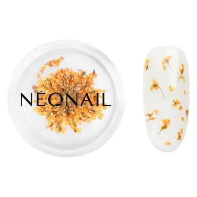 NEONAIL Dried Flowers sušený květ na nehty odstín Orange 1 ks