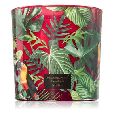 Vila Hermanos Jungletopia Wild Musk vonná svíčka 620 g