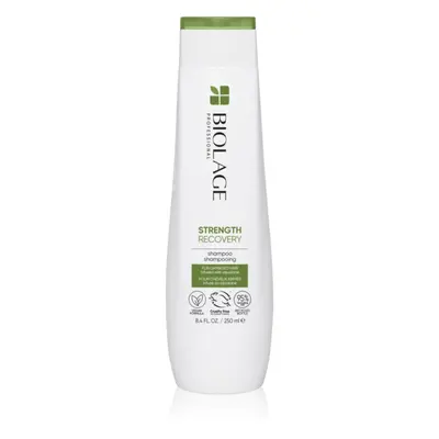 Biolage Strength Recovery šampon pro poškozené vlasy 250 ml