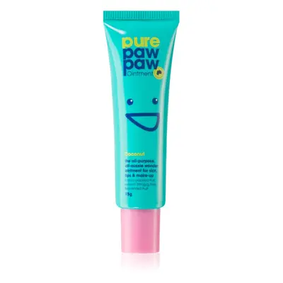 Pure Paw Paw Coconut balzám na rty a suchá místa 15 g