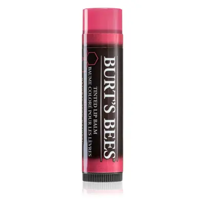 Burt’s Bees Tinted Lip Balm balzám na rty odstín Hibiscus 4.25 g