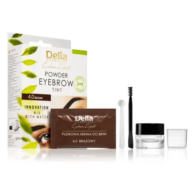 Delia Cosmetics Eyebrow Expert tónovací barva na obočí odstín 4.0 Brown 4 g