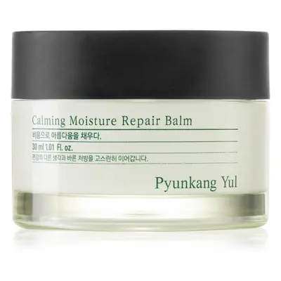 Pyunkang Yul Calming Moisture Repair Balm regenerační a hydratační balzám pro citlivou pleť 30 m