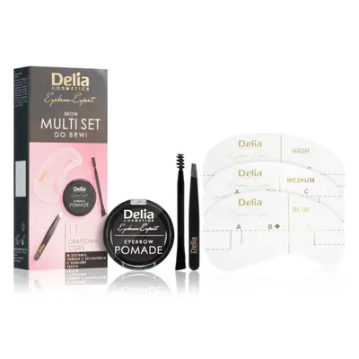 Delia Cosmetics Eyebrow Expert Zest sada na úpravu obočí odstín 1.1 Graphite Black 1 ks