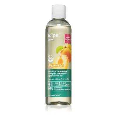 Tołpa Green Regeneration šampon pro suché a matné vlasy 300 ml