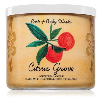 Bath & Body Works Citrus Grove vonná svíčka 411 g