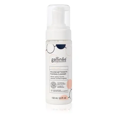 Gallinée SKIN CARE Foaming Facial Cleanser jemná čisticí pěna na obličej 150 ml