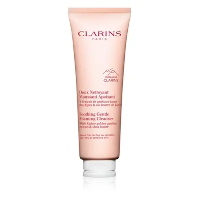 Clarins Cleansing Soothing Gentle Foaming Cleanser jemná odličovací pěna se zklidňujícím účinkem