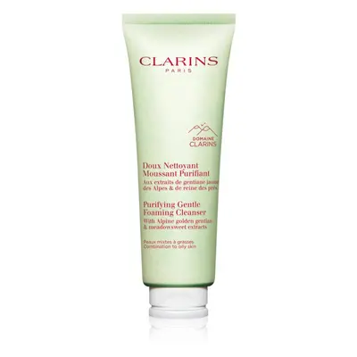 Clarins Cleansing Purifying Gentle Foaming Cleanser čisticí pěna 125 ml