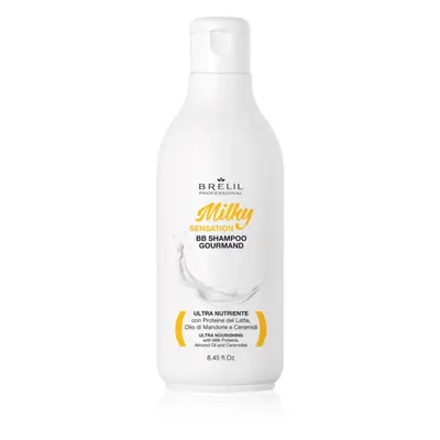 Brelil Professional Milky Sensation BB Shampoo regenerační šampon pro slabé a poškozené vlasy 25