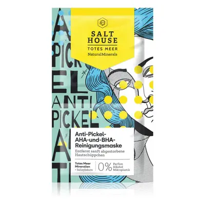 Salt House Natural Minerals Anti-pimple AHA and BHA Cleansing Mask čisticí maska 2x6 ml