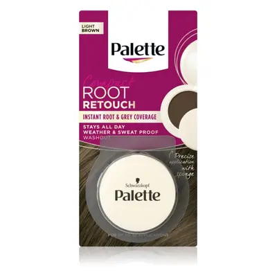 Schwarzkopf Palette Compact Root Retouch vlasový korektor odrostů a šedin s pudrovým efektem ods