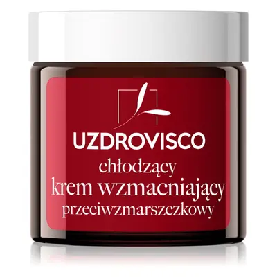 Uzdrovisco Cica Cooling Strengthening Anti-Wrinkle Cream pleťový krém proti vráskám s chladivým 