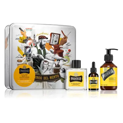 Proraso Set Beard Routine sada na vousy Wood and Spice