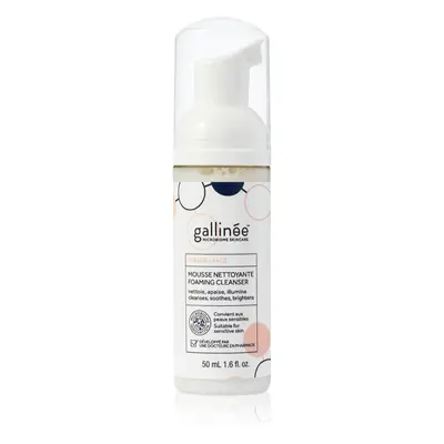 Gallinée SKIN CARE Foaming Facial Cleanser jemná čisticí pěna na obličej 50 ml