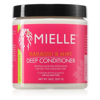 Mielle Babassu & Mint hydratační kondicionér 227 g