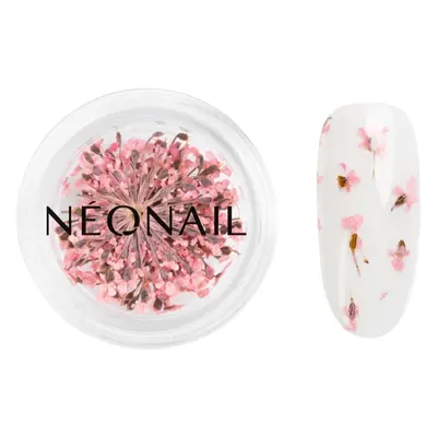 NEONAIL Dried Flowers sušený květ na nehty odstín Pink 1 ks