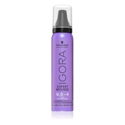 Schwarzkopf Professional IGORA Expert Mousse barvicí pěna na vlasy odstín 9,5-4 Beige 100 ml