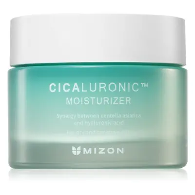 Mizon Cicaluronic™ vyživující hydratační krém pro velmi suchou a citlivou pleť 50 ml