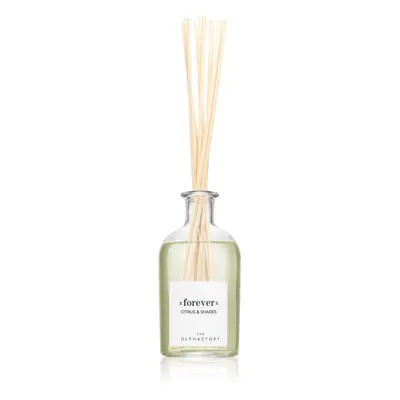 Ambientair The Olphactory Citrus & Shades aroma difuzér Forever 250 ml