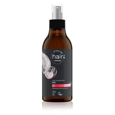 OnlyBio Hair Of The Day bezoplachová vlasová péče pro vlnité a kudrnaté vlasy 300 ml