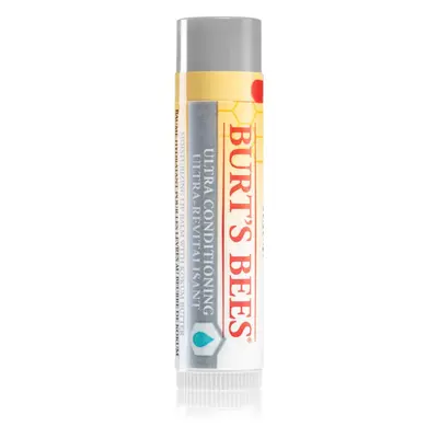 Burt’s Bees Lip Care balzám pro suché rty 4.25 g