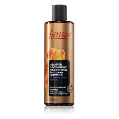 Farmona Jantar Amber Essence revitalizační šampon pro blond a šedivé vlasy 300 ml