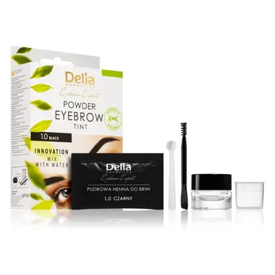 Delia Cosmetics Eyebrow Expert tónovací barva na obočí odstín 1.0 Black 4 g