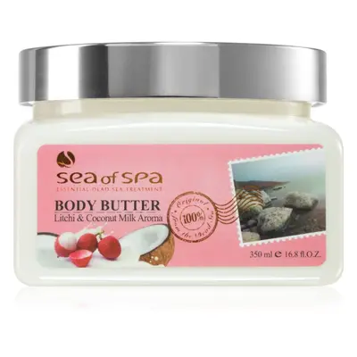 Sea of Spa Essential Dead Sea Treatment tělové máslo s kokosem 350 ml