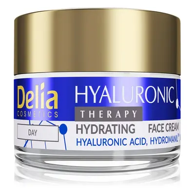 Delia Cosmetics Hyaluronic Acid hydratační krém 50 ml