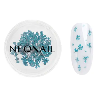 NEONAIL Dried Flowers sušený květ na nehty odstín 05 Turquoise 1 ks