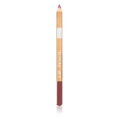 Astra Make-up Pure Beauty Lip Pencil konturovací tužka na rty natural odstín 06 Cherry Tree 1,1 