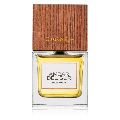 Carner Barcelona Ambar Del Sur parfémovaná voda unisex 100 ml