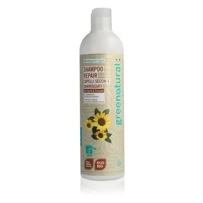 Greenatural Shampoo Repair regenerační šampon pro suché a poškozené vlasy s bambuckým máslem 400