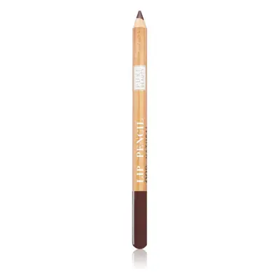 Astra Make-up Pure Beauty Lip Pencil konturovací tužka na rty natural odstín 01 Mahogany 1,1 g