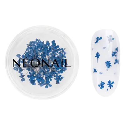 NEONAIL Dried Flowers sušený květ na nehty odstín 04 Navy 1 ks