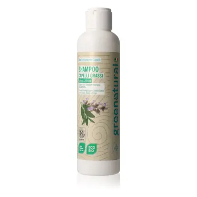 Greenatural Shampoo Sage & Nettle šampon pro mastné vlasy 250 ml