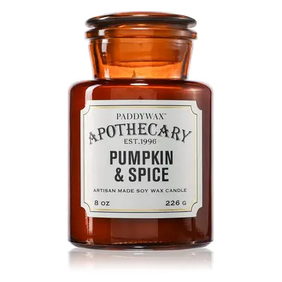 Paddywax Apothecary Pumpkin Spice vonná svíčka 226 g