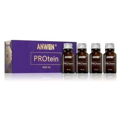 Anwen PROtein proteinová péče v ampulích 4x8 ml