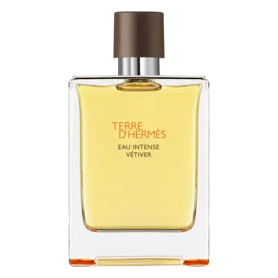 HERMÈS Terre d’Hermès Eau Intense Vétiver parfémovaná voda pro muže 200 ml