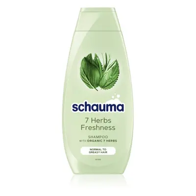 Schwarzkopf Schauma 7 Herbs bylinný šampon pro normální až mastné vlasy 400 ml