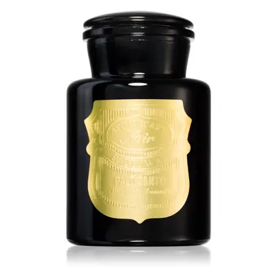 Paddywax Apothecary Noir Palo Santo vonná svíčka 226 g